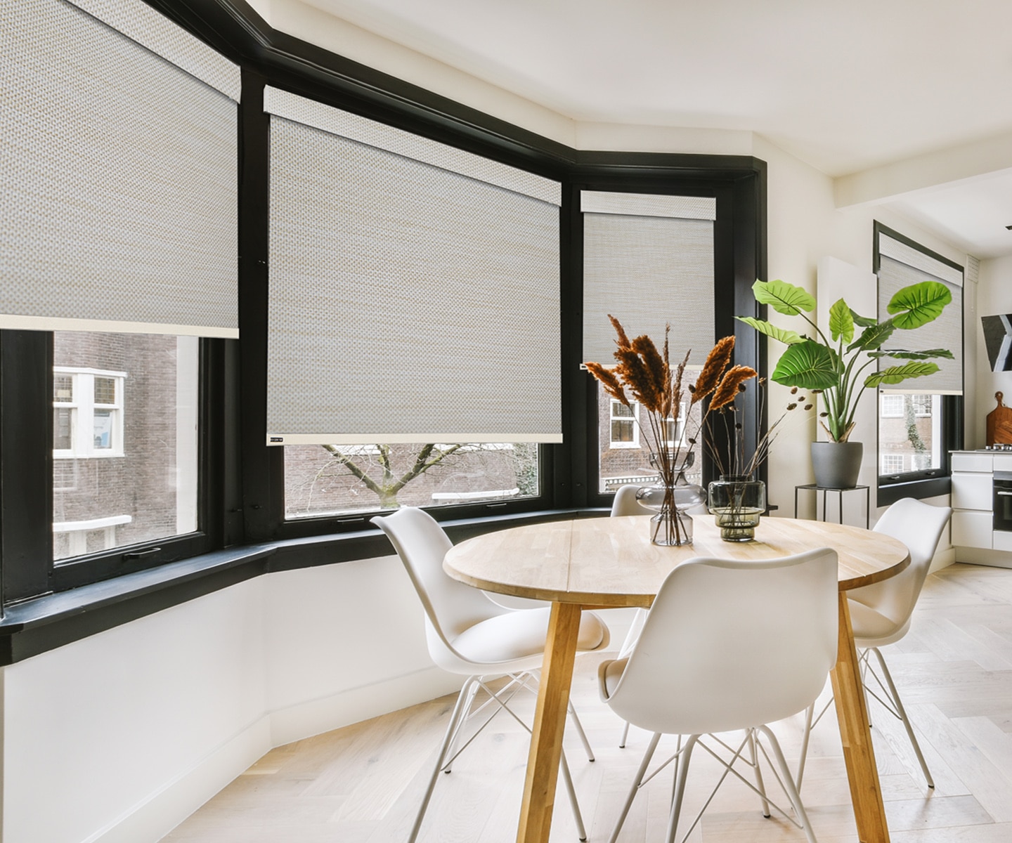 Modern roller shades sleek and tailored